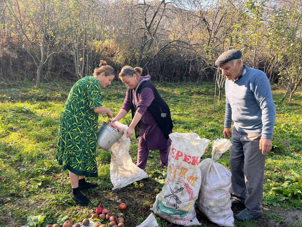 Социальная неотложка.